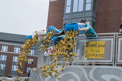 Epsilon Sigma Alpha representatives dump rubber ducks into the pond next to Park Hall to start the duck race on Sunday. Participants 