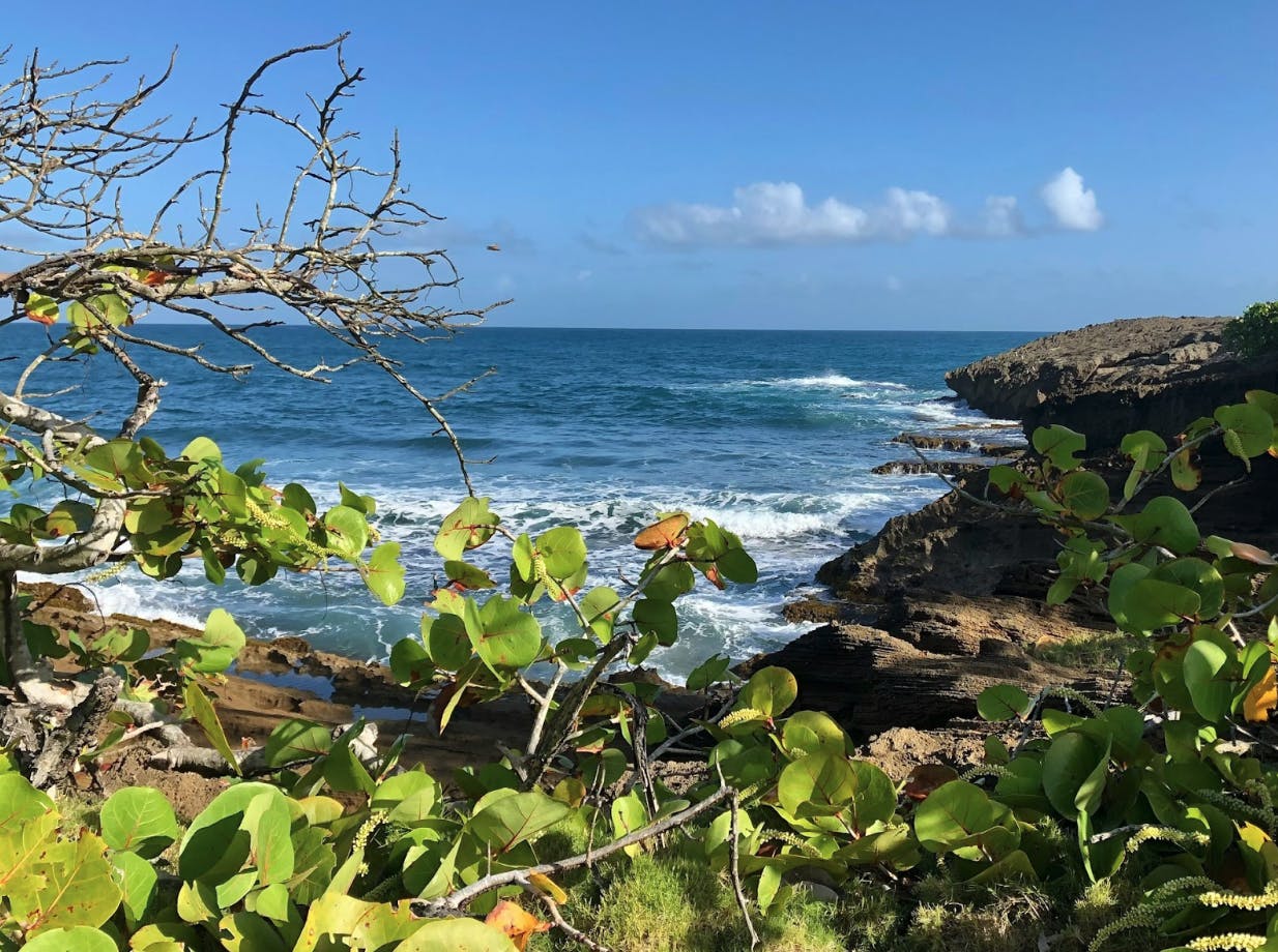 Photo provided by client