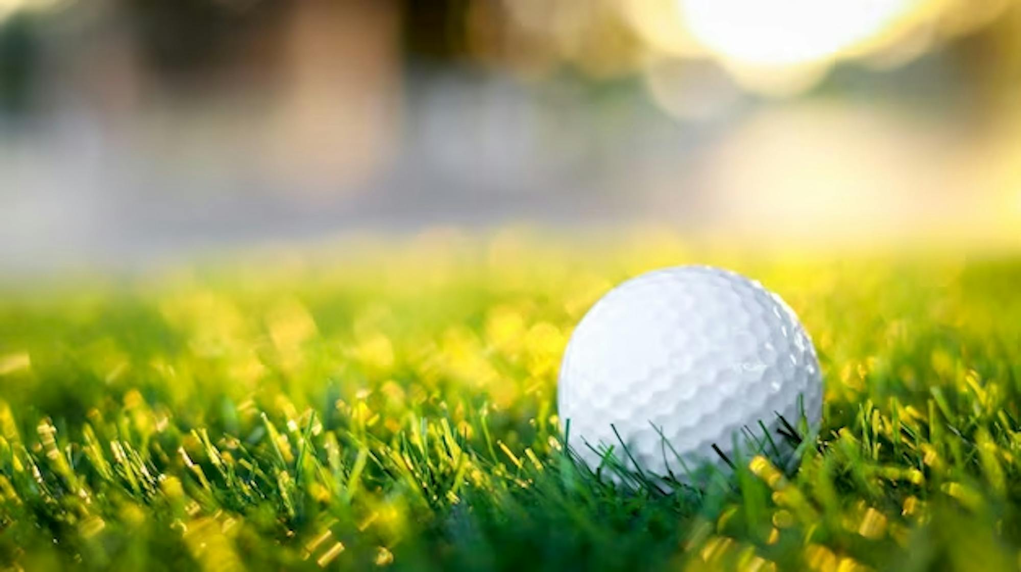 golf ball in grass.png