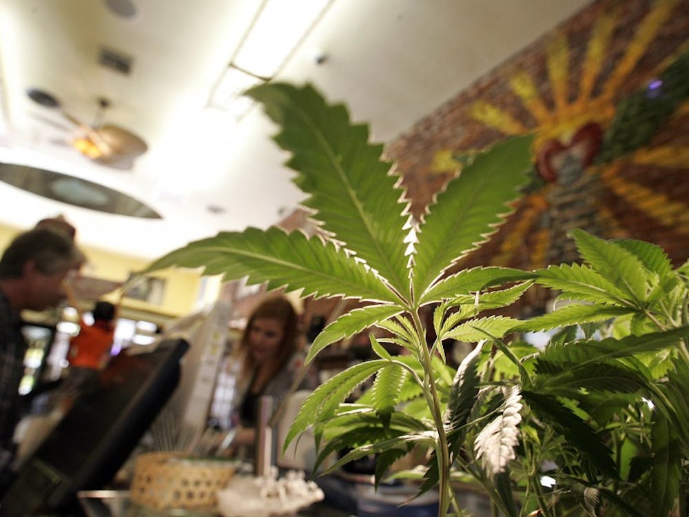 Medical marijuana plants for sale at The Farmacy, a popular California medical marijuana dispensary, in November 2009. (Spencer Weiner/Los Angeles Times/TNS) 