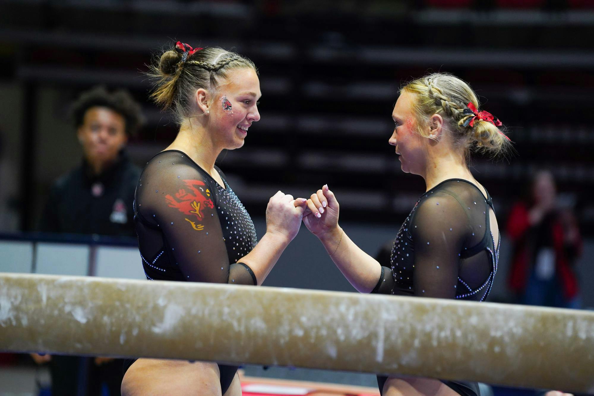 Ball State Gymnastics Team won against Eastern Michigan with a score of 195.025 vs 194.125 on Feb. 12 in Worthen Arena.