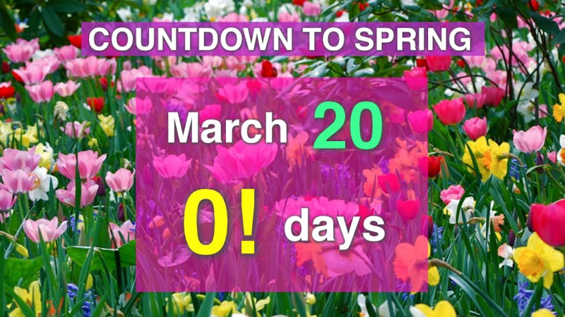 Countdown to Spring.png