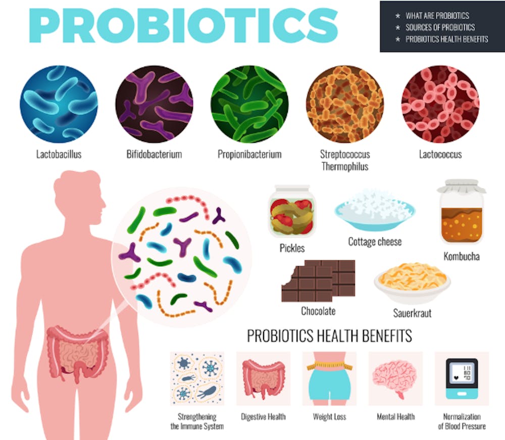 Go With Your Gut: Why Probiotics Are Essential at Every Age