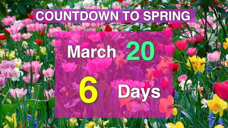 Countdown to Spring.png
