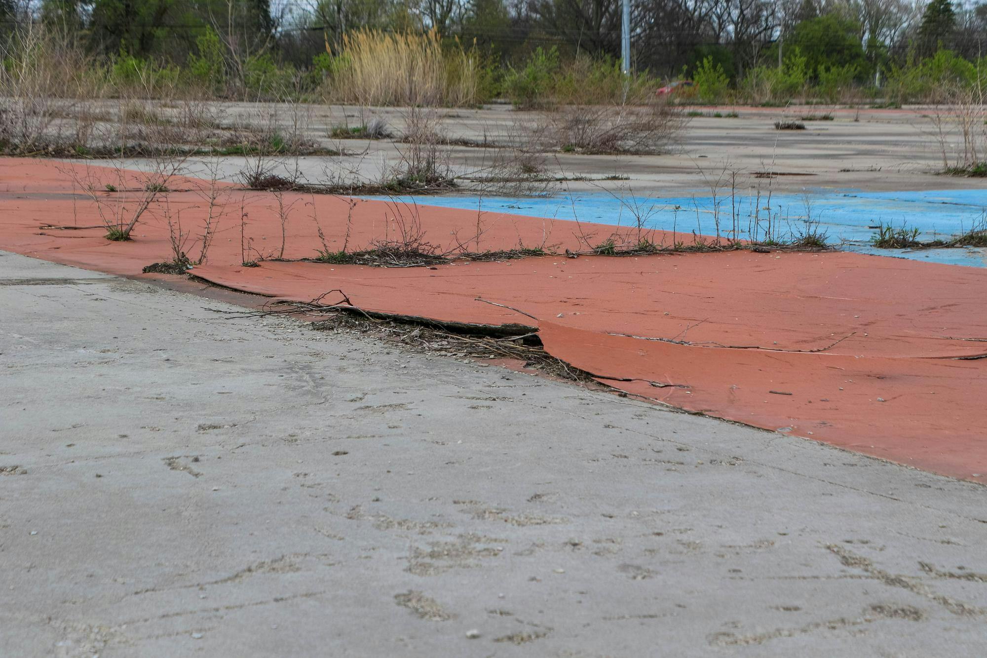 The sealed concrete flooring of the old factory is seen peeling up after years of exposure to nature. Despite the plant closing in 2009, it took eight years for demolition to finally begin.