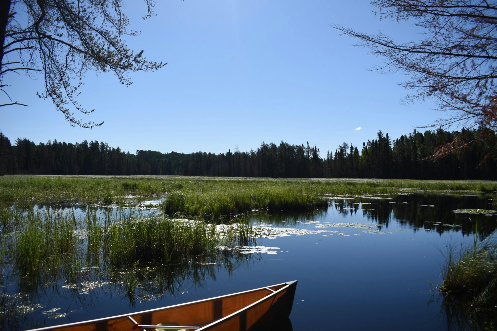 &nbsp;A lakeside view from inside the BWCA, 2018. After hiking through the woods, it was finally time to get our canoe in the water and paddle to our campsite. Tyler Griffith, DN
