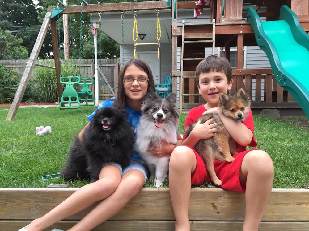 Katherine Hill sitting with her younger brother, Douglas, in their backyard holding their three dogs in August 2015. Katherine Hill, Photo Provided
