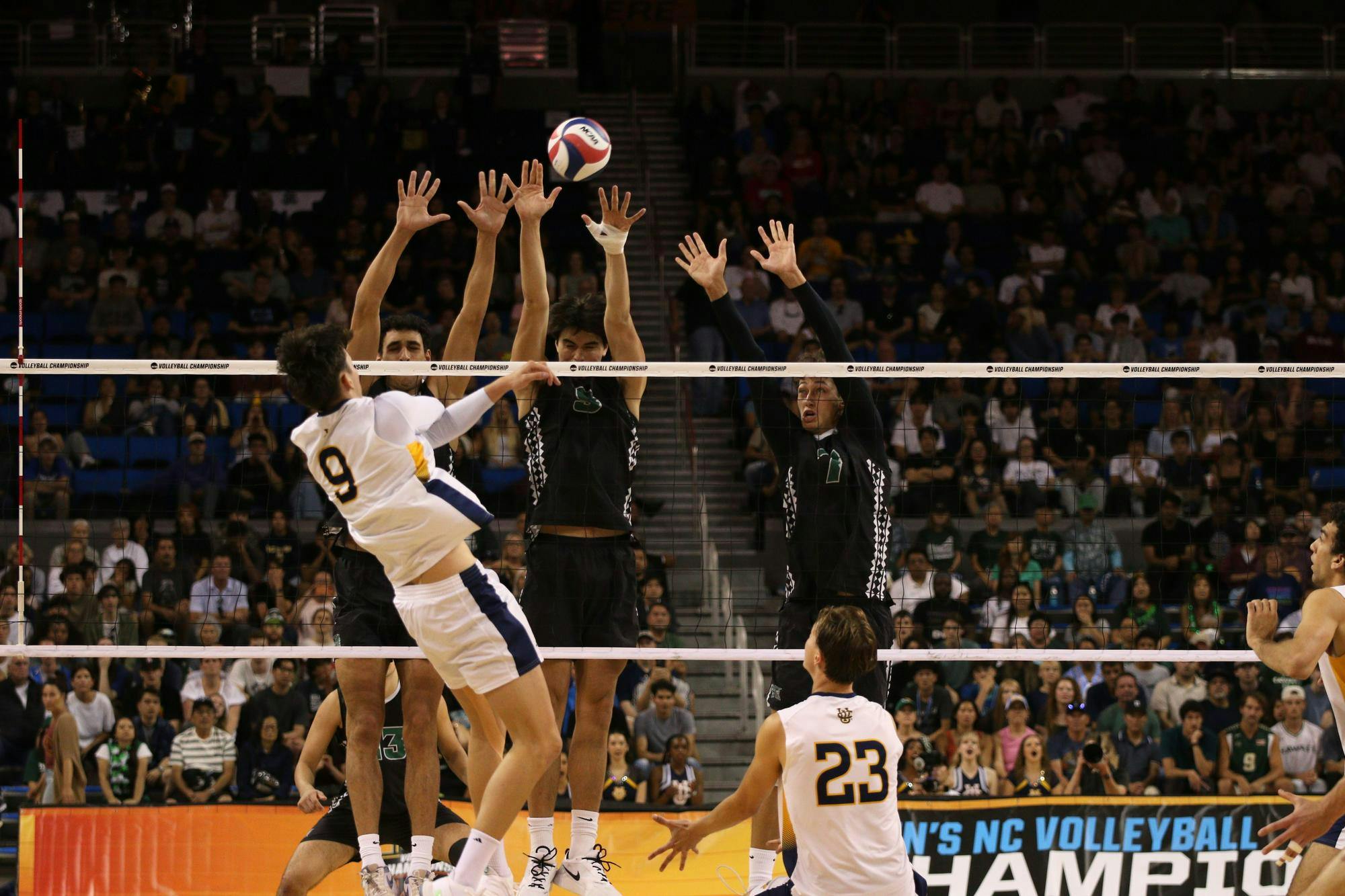 Hawaii and UC Irvine Men's Volleyball square off in the NCAA championship May 11 at Pauley Pavilion in Los Angeles. Kyle Stout, DN