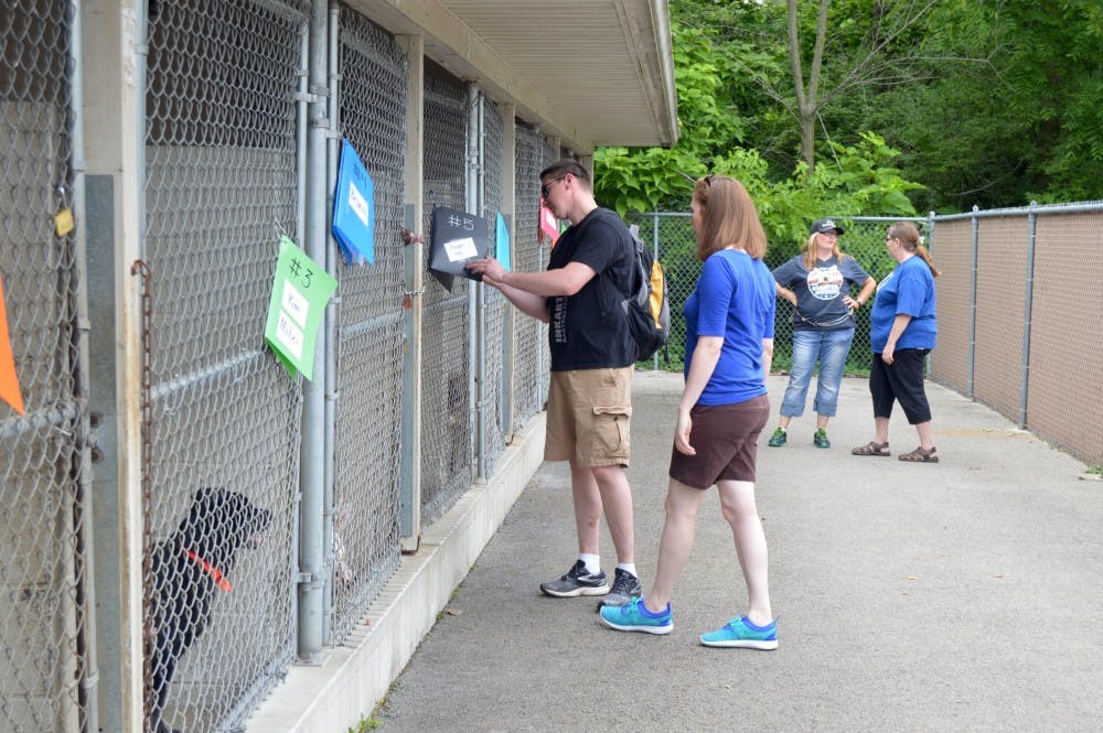 A Facebook film crew visited&nbsp;The Muncie Animal Shelter on July 18 to talk with volunteers&nbsp;as they walked&nbsp;dogs and&nbsp;played the mobile game Pokémon Go. DN PHOTO REBECCA KIZER