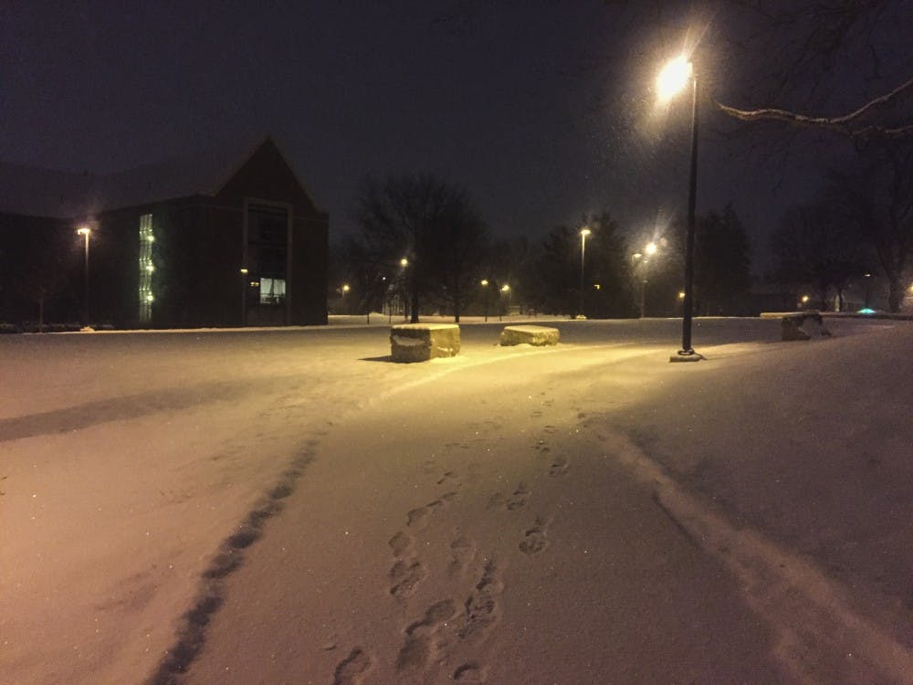 <p>Through the night of Jan. 19 into the morning of Jan. 20&nbsp;Muncie received three more inches of snow. &nbsp;<i style="background-color: initial;">DN PHOTO CASEY SMITH</i></p>