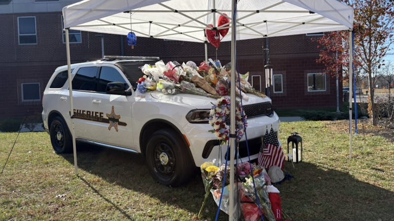 Payton M 11:24:25.png