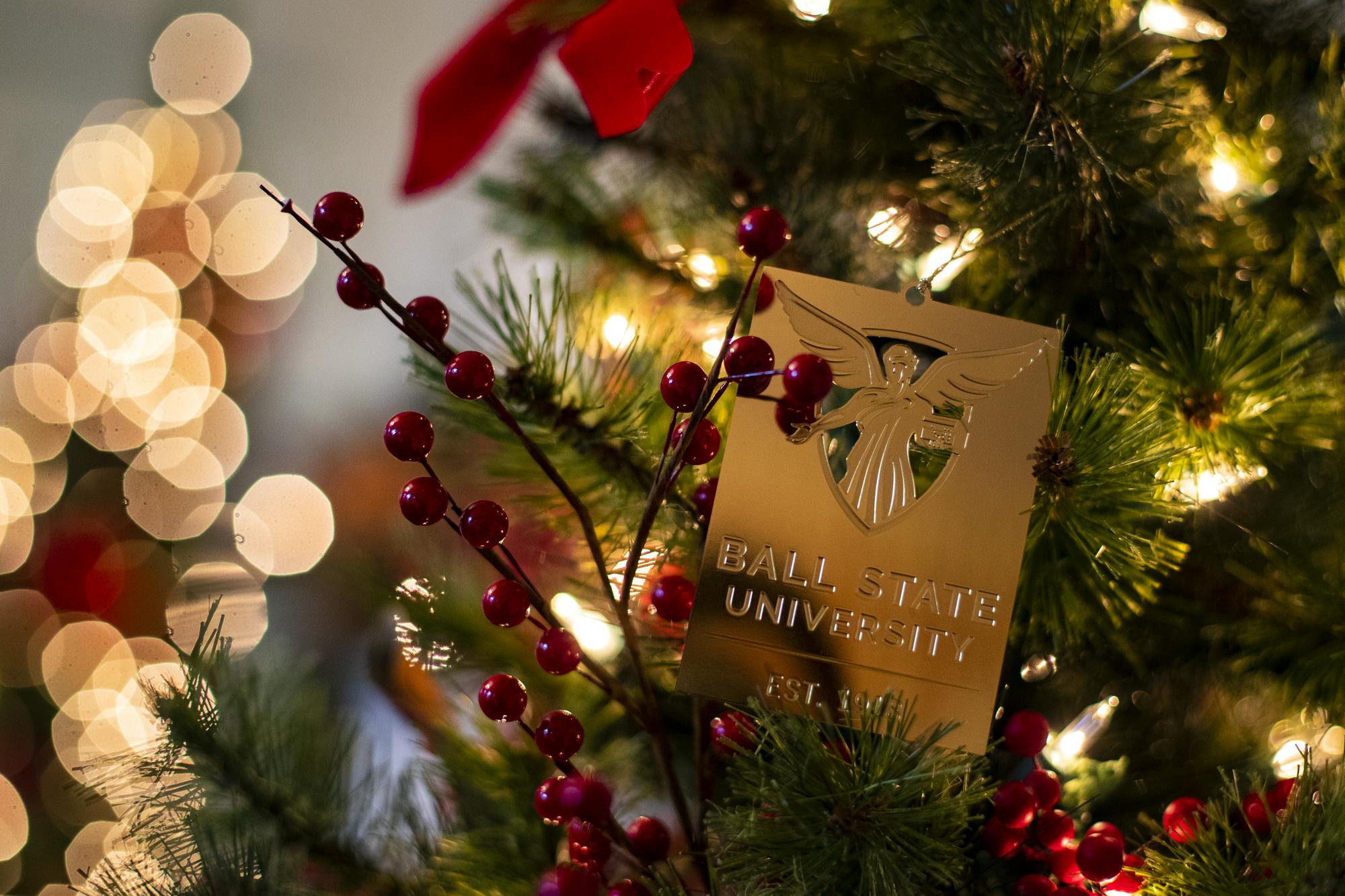 Bracken House Decorations