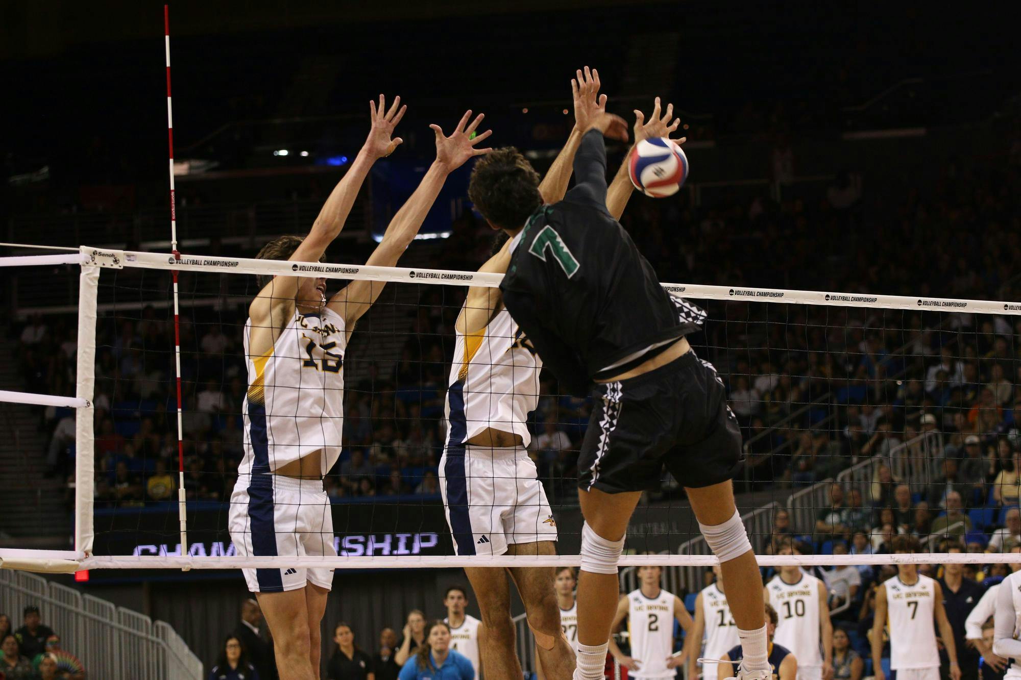 Hawaii and UC Irvine Men's Volleyball square off in the NCAA championship May 11 at Pauley Pavilion in Los Angeles. Kyle Stout, DN