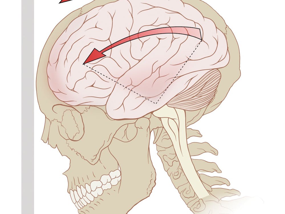 Wikimedia Commons, photo courtesy