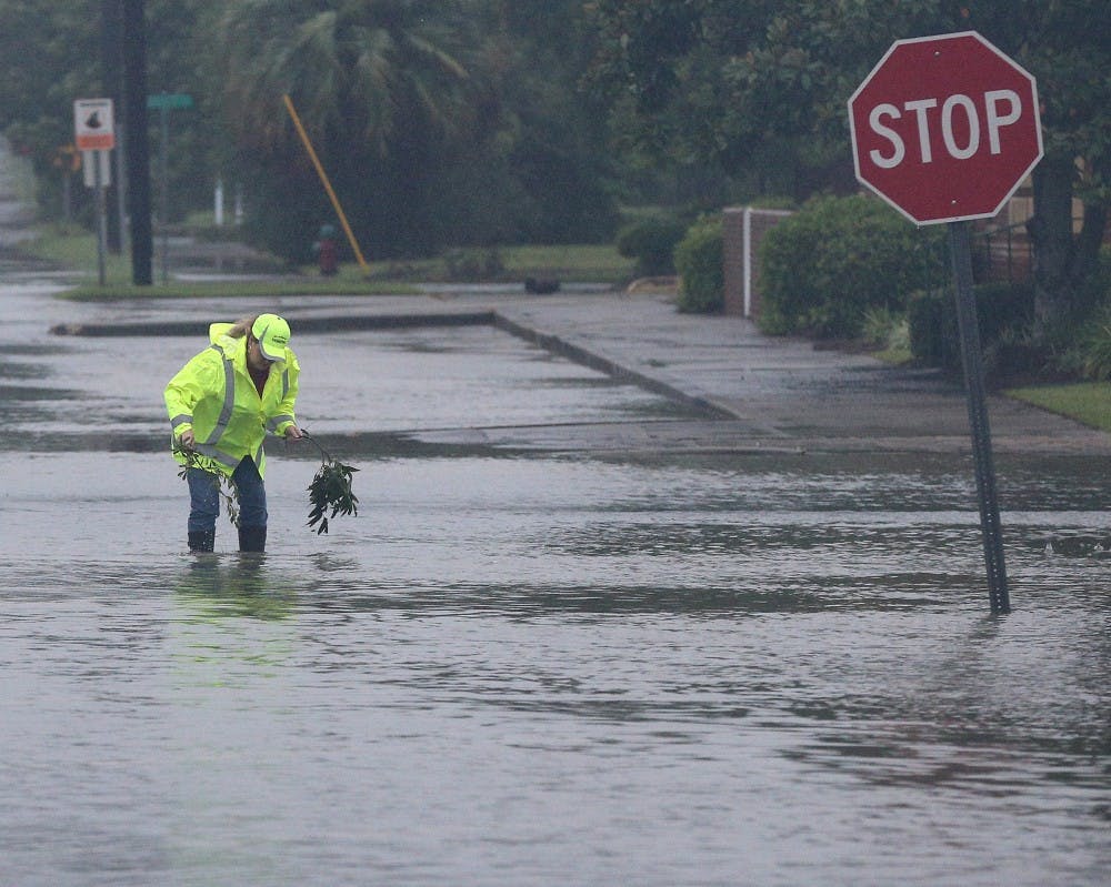 A city employee works to clear storm drains on flooded Isabella Street in the downtown area as Hurricane Irma moves through the city on Sept. 11 in Waycross, Ga. TNS Photo