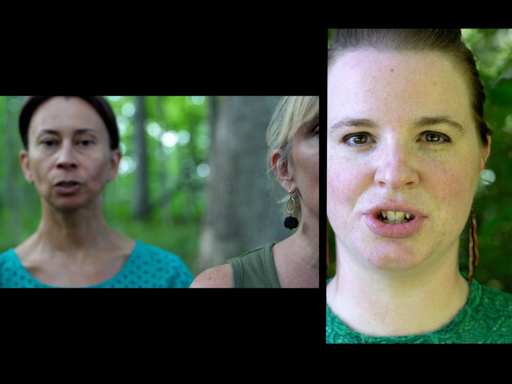 Still shots from the cicada chorus video show volunteers mimicking the sounds of Brood X cicadas in Salt Lake State Park. The Cicada Chorus is a one-night exhibition presented by the Muncie Arts and Culture Council June 29, 2021. Erin Mallea, Photo Provided
