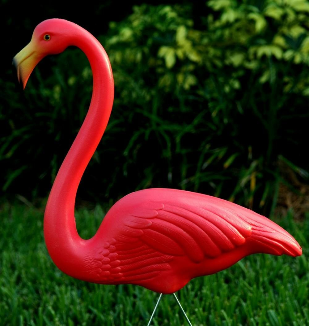 The plastic pink flamingo, an icon of kitsch and Florida is now an endangered species. Due to rising costs the company that makes them plans to discontinue production. (John L. White/South Florida Sun-Sentinel/MCT)