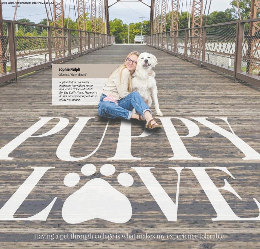 Amber Pietz, DN Design