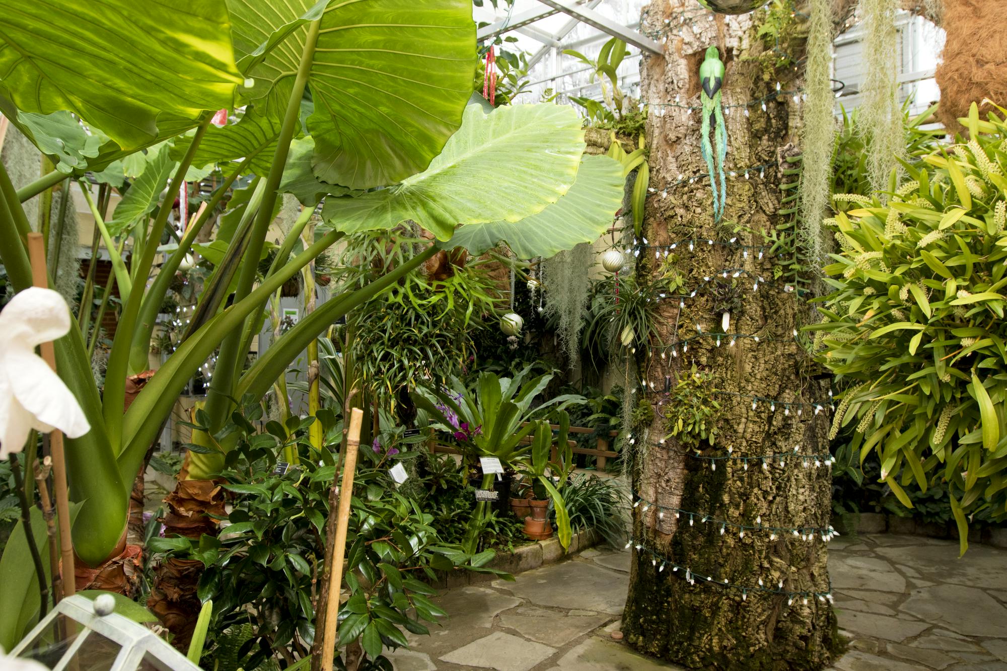 Holiday decorations in the Greenhouse
