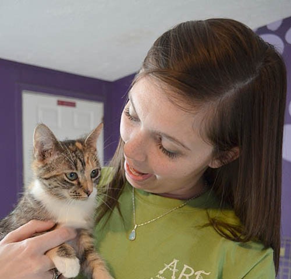 Senior human resources major Cailee Morris holds a kitten named Cinderella. Morris said she names litters of cats based on themes. DN PHOTO SHAE GIST