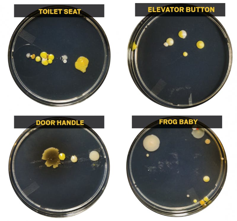 GRAPHIC: Germs on campus
