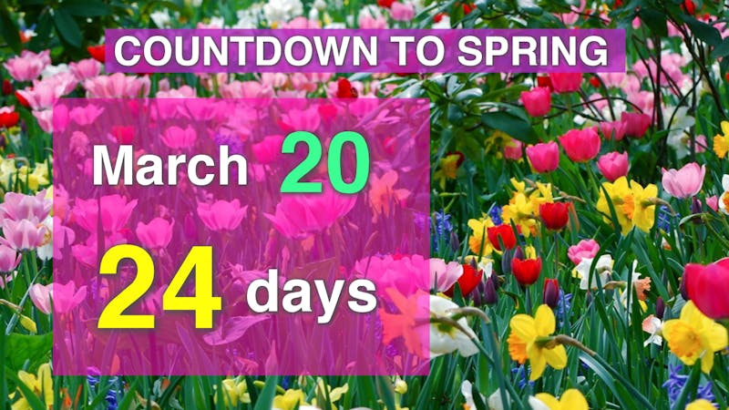 Countdown to Spring side.png