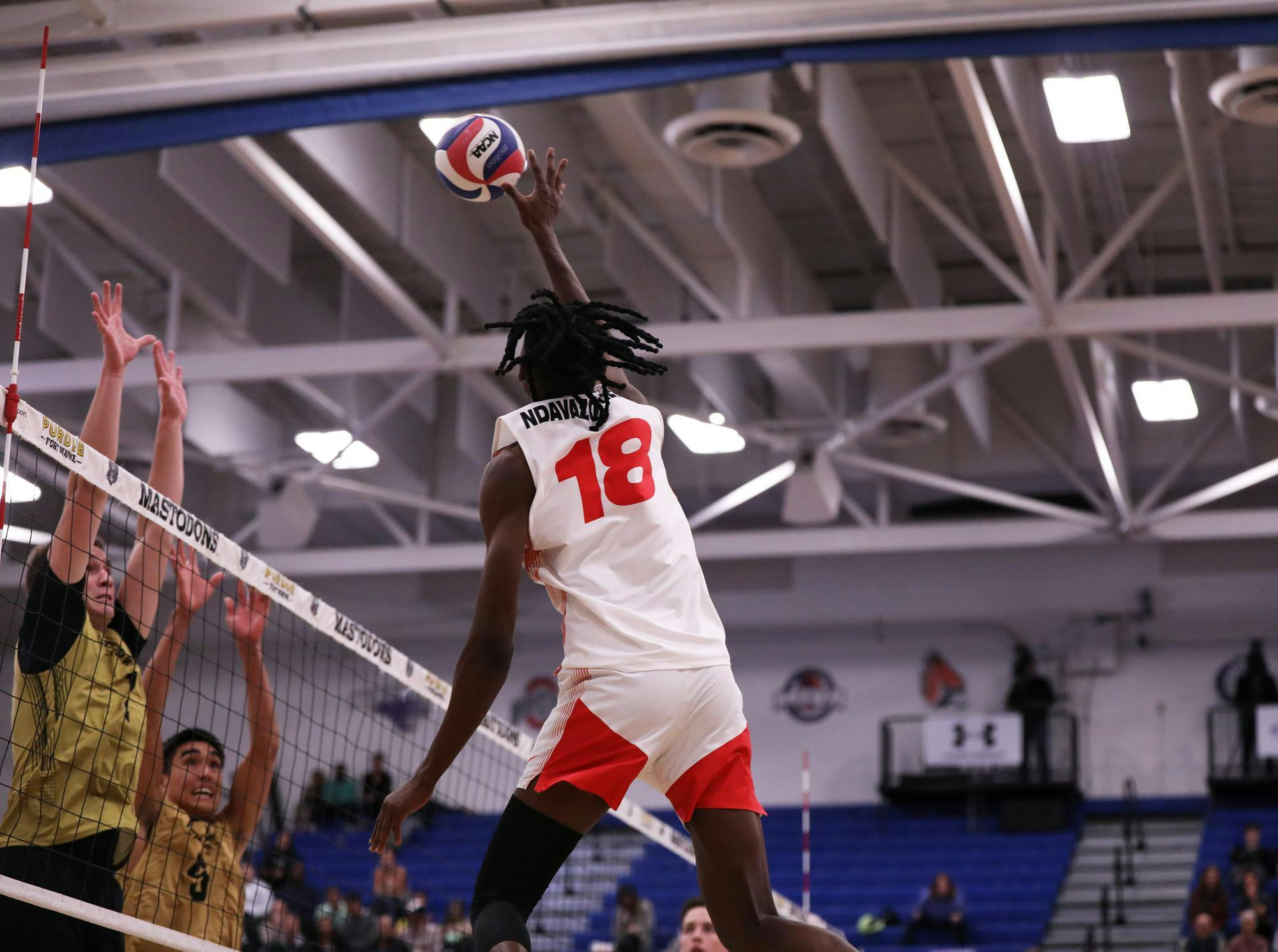 Junior opposite hitter Tinaishe Ndavazocheva spikes the ball against Purdue Fort Wayne March 23 at Gates Center in Fort Wayne, Indiana. Ndavazocheva scored 25 points in the game. Mya Cataline, DN