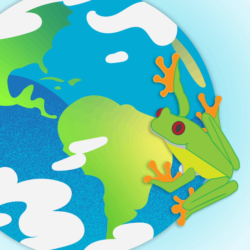 Illustration: Meghan Holt, Olivia Ground﻿