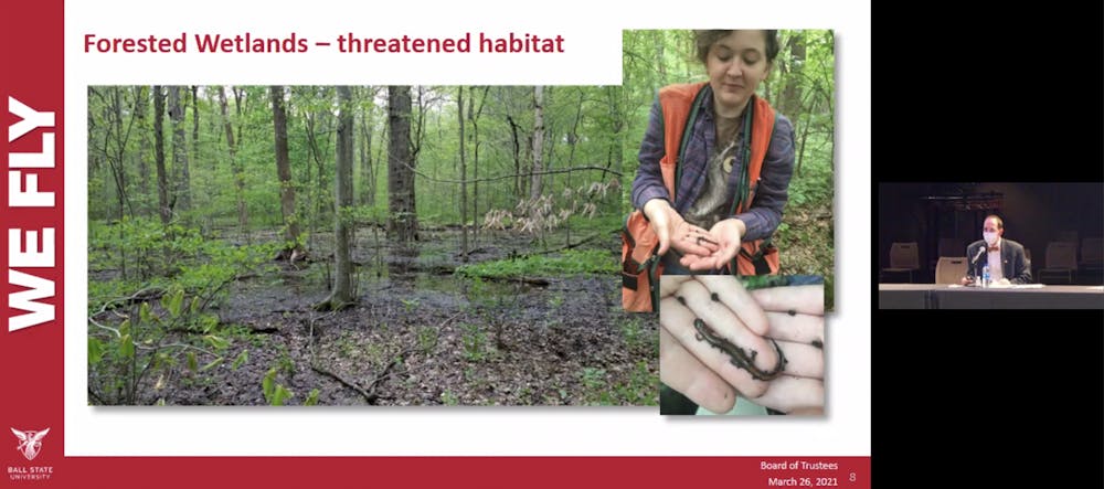 <p>John Taylor, land manager for the Field Station and Environmental Education Center, presents a proposal to Ball State&#x27;s Board of Trustees to dedicate Ginn Woods as an Indiana nature preserve, March 26, 2021. Taylor said Indiana lacks natural wetlands, which Ginn Woods provides for unique plant and animal species. <strong>Grace McCormick, Screenshot Capture</strong></p>