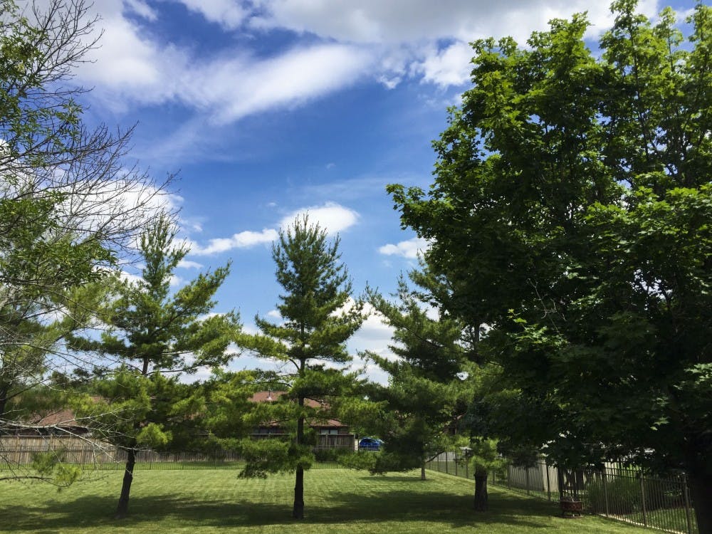 Allergies affect as many as 30 percent of adults and 40 percent of children, according to the Asthma and Allergy Foundation of America.&nbsp;DN PHOTO SAMANTHA BRAMMER