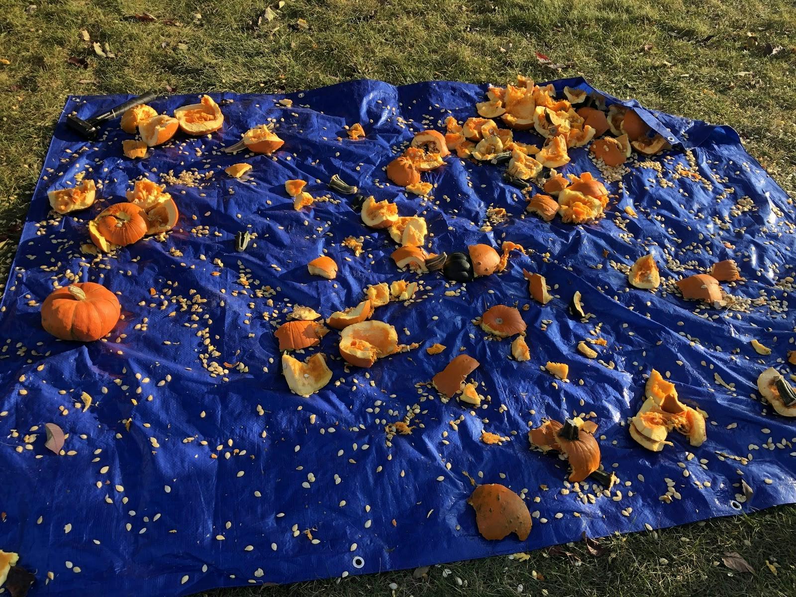 Surrounding University Green,  smashed pumpkins lie on top of a blue tarp Oct. 6, 2022. The smashed pumpkins were used as part of an event titled “Smash Domestic Violence,” for domestic violence awareness month. Zach Gonzalez, DN
