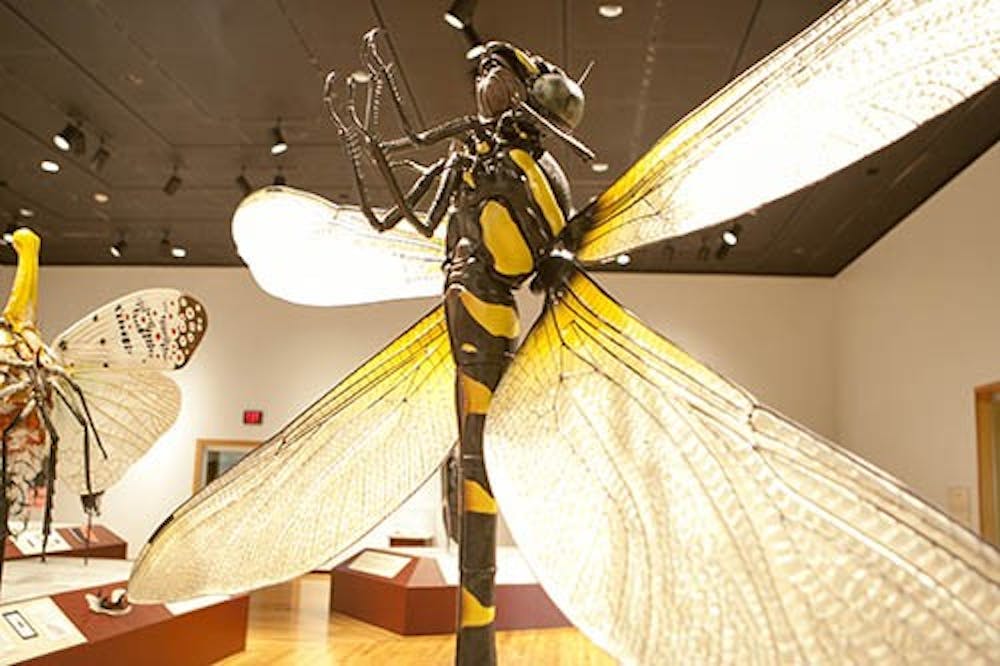 An oversized dragonfly stands on display at Minnetrista Cultural Center. The exhibit features several larger than life bugs and will run though the end of August. DN PHOTO JORDAN HUFFER