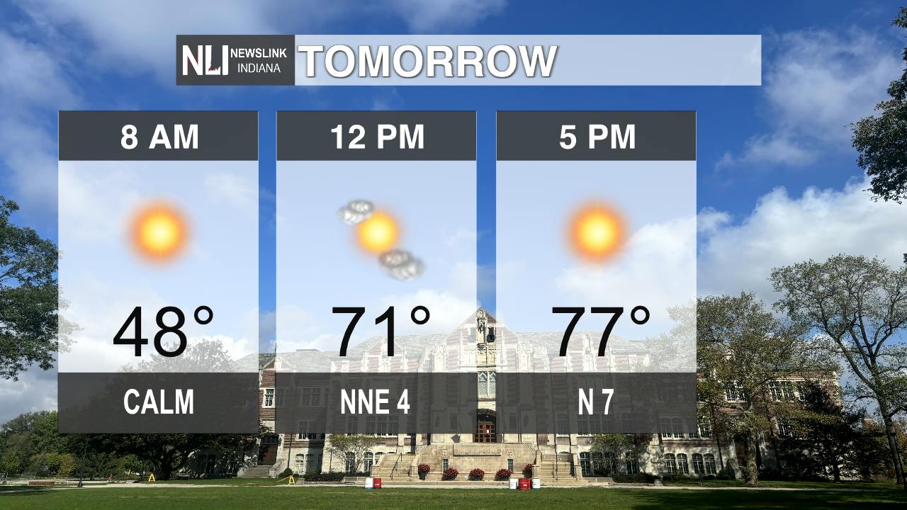 Sunny conditions and warm temperatures - Cardinal Media