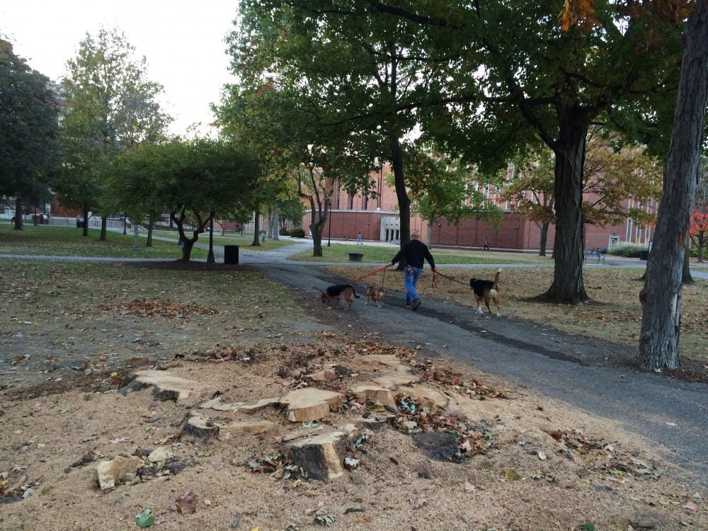 DN PHOTO EMMA ROGERS