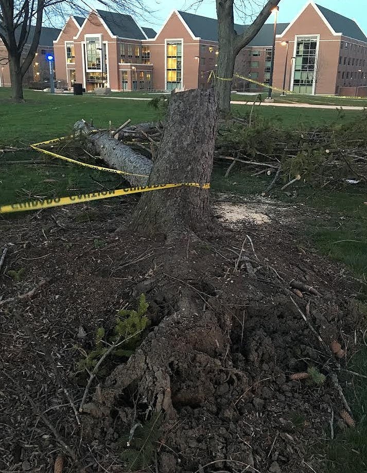 DN PHOTO MICHELLE KAUFMAN