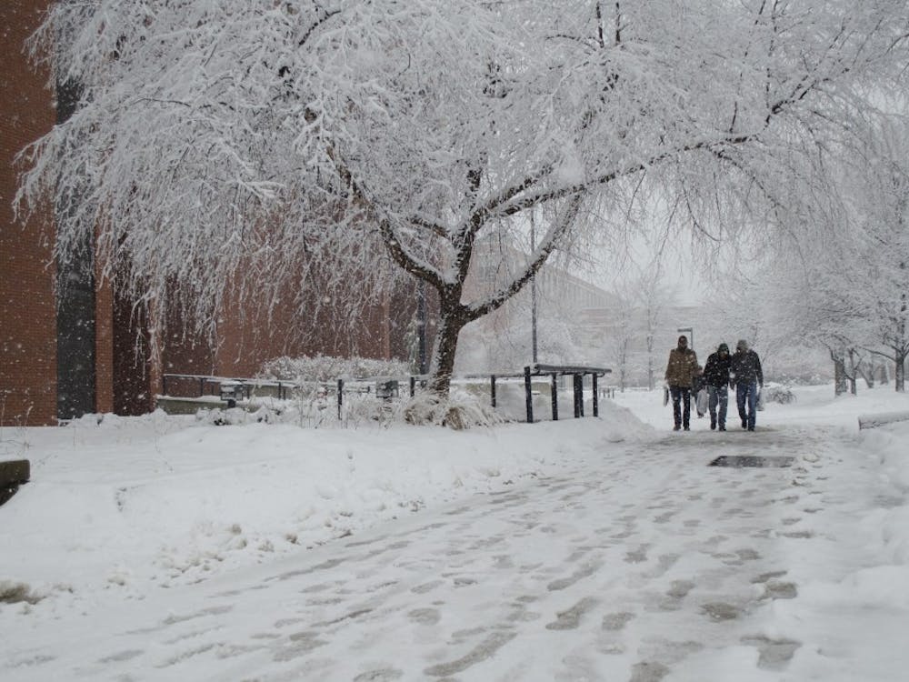 Students walk past Bracken Library as it continues snow Jan. 5. Twenty tons of salt were used around campus, said Kevin Kenyon, associate vice president of facilities. DN FILE PHOTO BREANNA DAUGHERTY