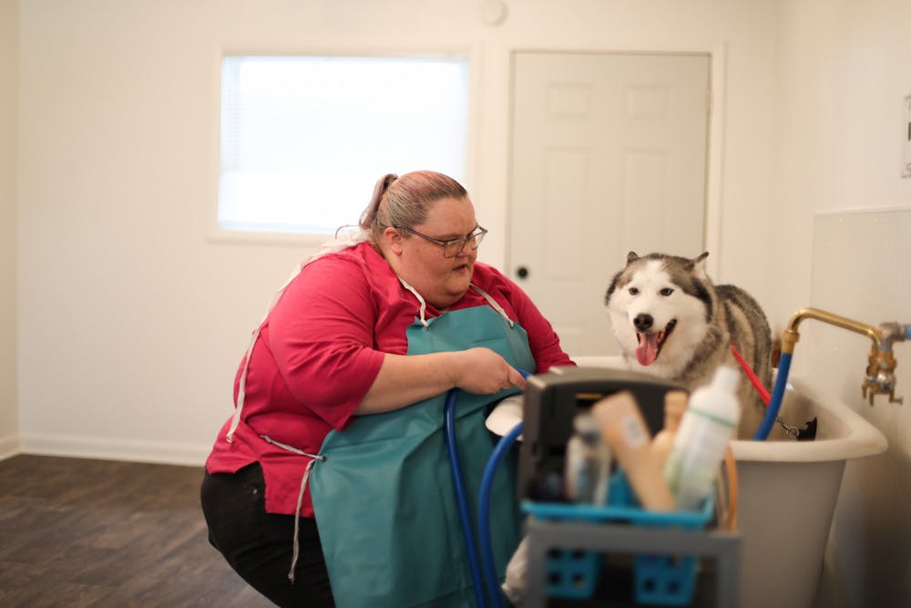Amy Shears, owner of Amy's Pet Spa, gives a husky, Kane, a bath at her business Jan. 27. Shears offers grooming services to dogs, cats, birds and other small animals. Jacy Bradley, DN