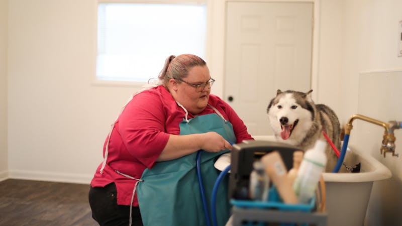 Amy Shears, owner of Amy's Pet Spa, gives a husky, Kane, a bath at her business Jan. 27. Shears offers grooming services to dogs, cats, birds and other small animals. Jacy Bradley, DN