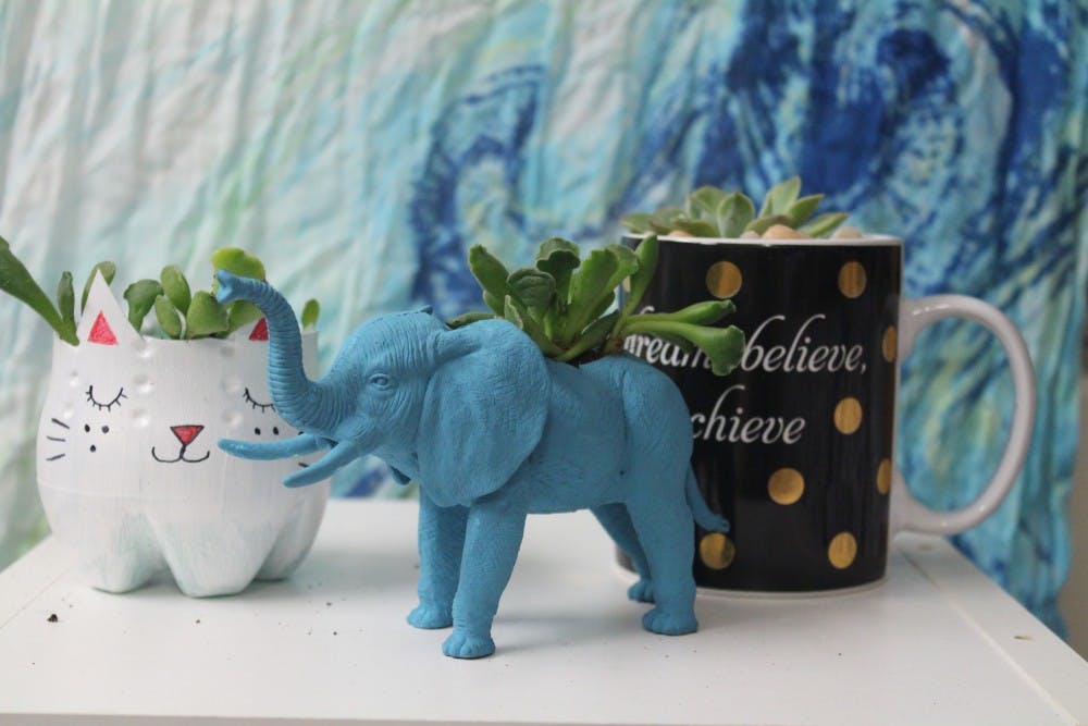 Sabrina Schnetzer // DN