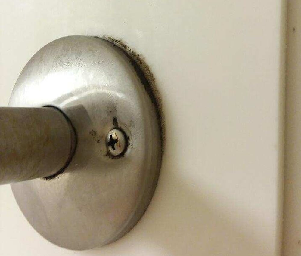 <p>Mold found growing in a bathroom at the Noyer Complex. The associate director of housing and residence life facilities said the mold affected six student rooms but has since been eradicated. &nbsp;<strong>Laini Johnson, Photo Provided</strong></p>