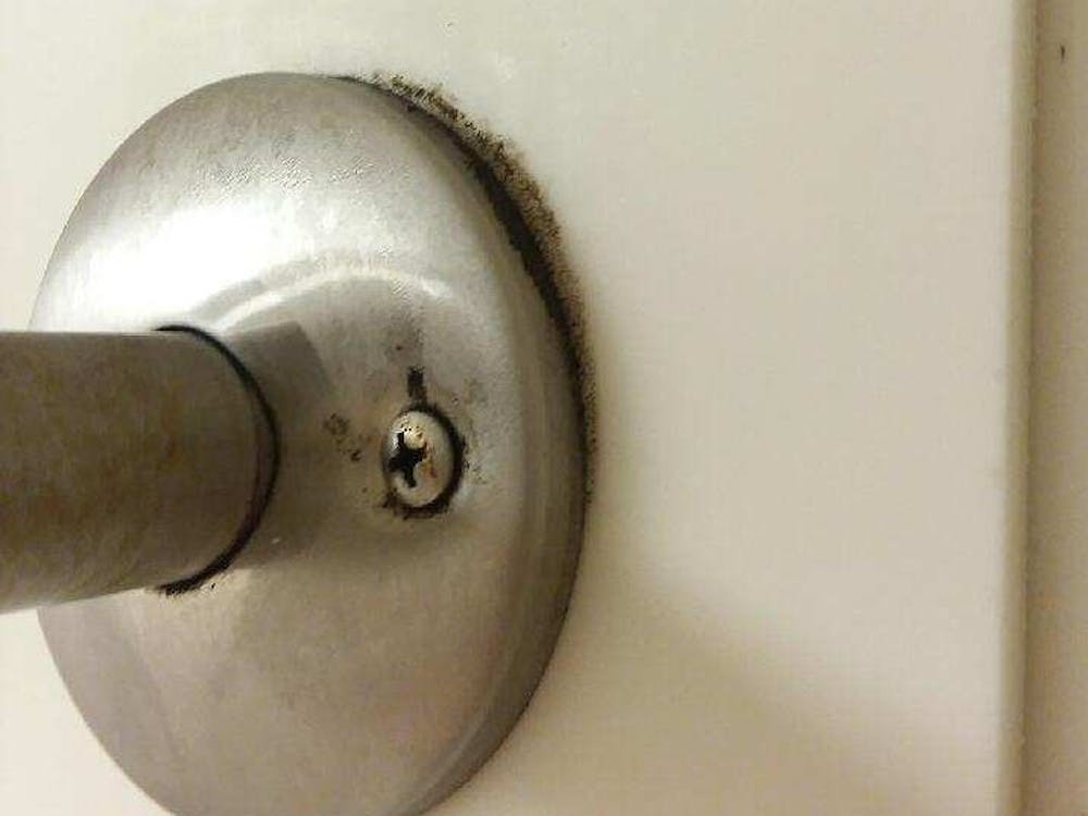 Mold found growing in a bathroom at the Noyer Complex. The associate director of housing and residence life facilities said the mold affected six student rooms but has since been eradicated. &nbsp;Laini Johnson, Photo Provided