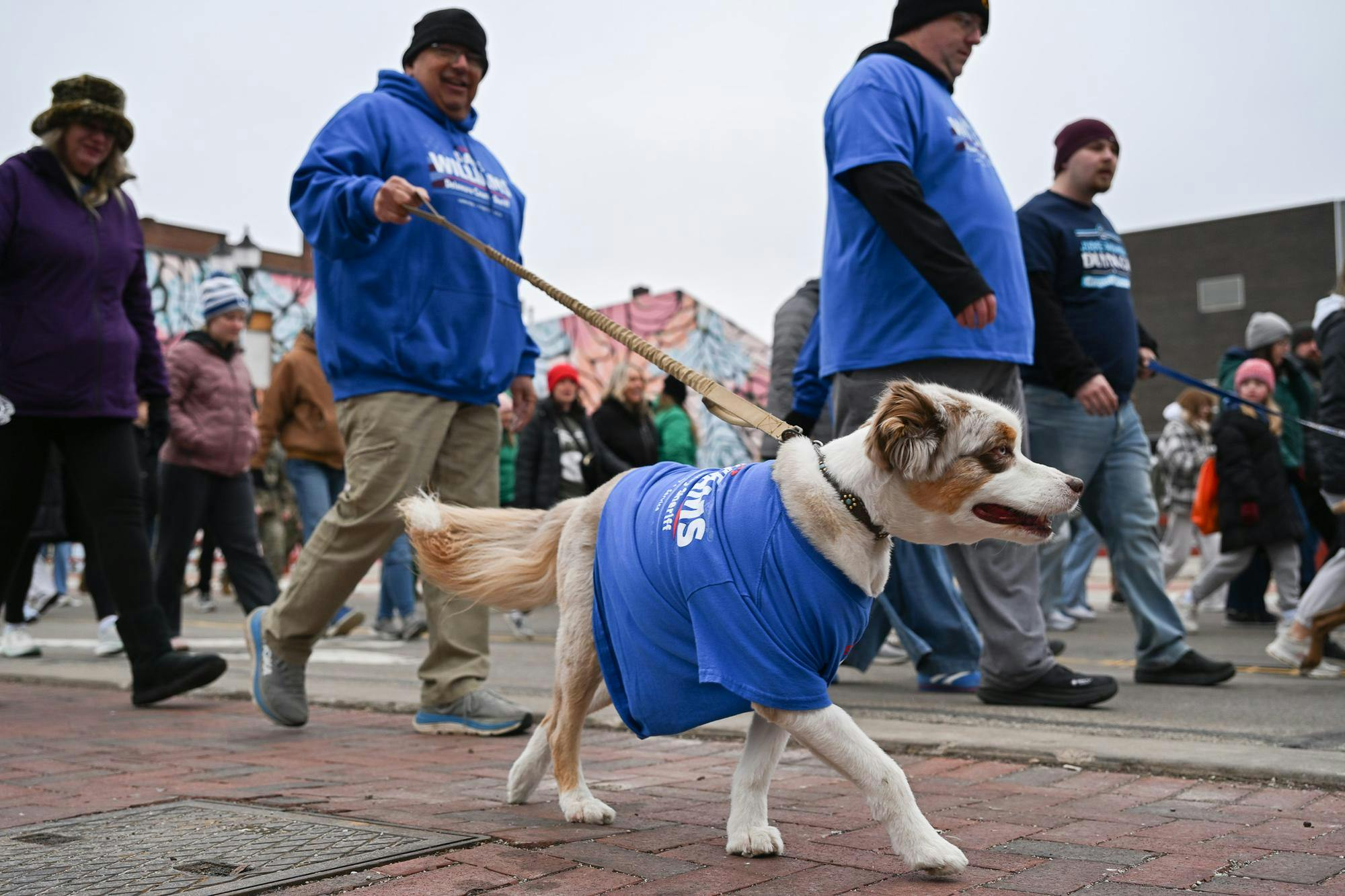 A dog adorning a campaing advertisement for a local candidate participates in Muncie Mission's Walk a Mile in My Shoes event Feb. 21 in Muncie, Indiana. Ryan Fleek, DN