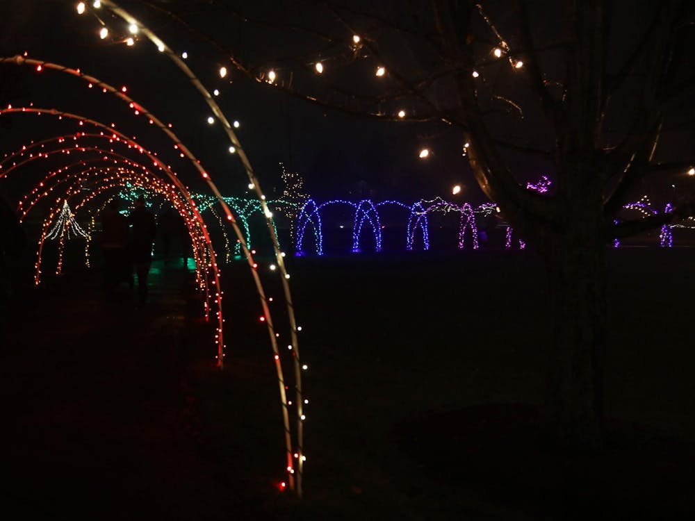 Colorful lights are hung up in unique shapes to lead people down a path Dec. 1 during the Enchanted Luminaria Walk at Minnetrista. The event had food, drinks and venders. Mya Cataline, DN