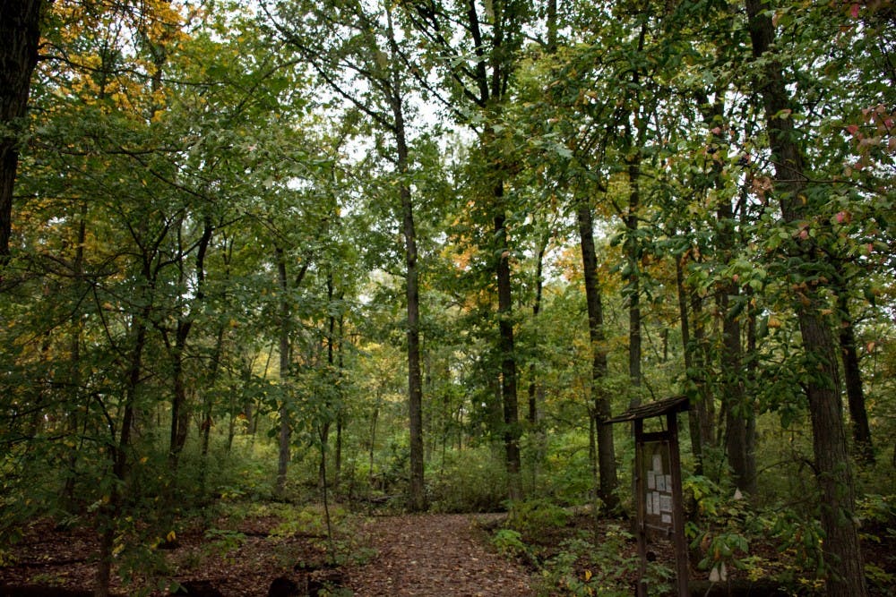<p>Christy Woods is 17-acres of land located on the southwest corner of campus. The area is used as an outdoor teaching laboratory for Ball State students, as well as the community. <strong>Kaiti Sullivan, DN File</strong></p>