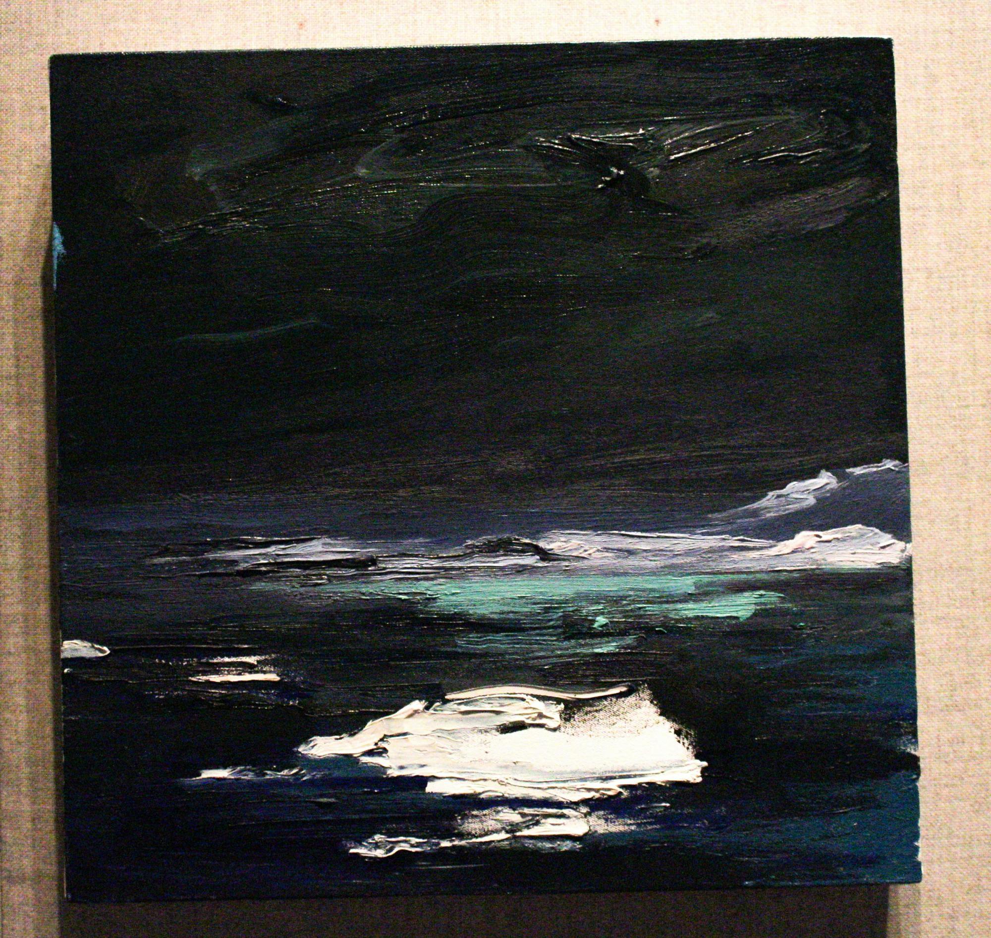 Paradise Channel, Lemaine #3 by Diane Burko on display at the David Owsley Museum of Art Nov. 2. Mya Cataline, DN