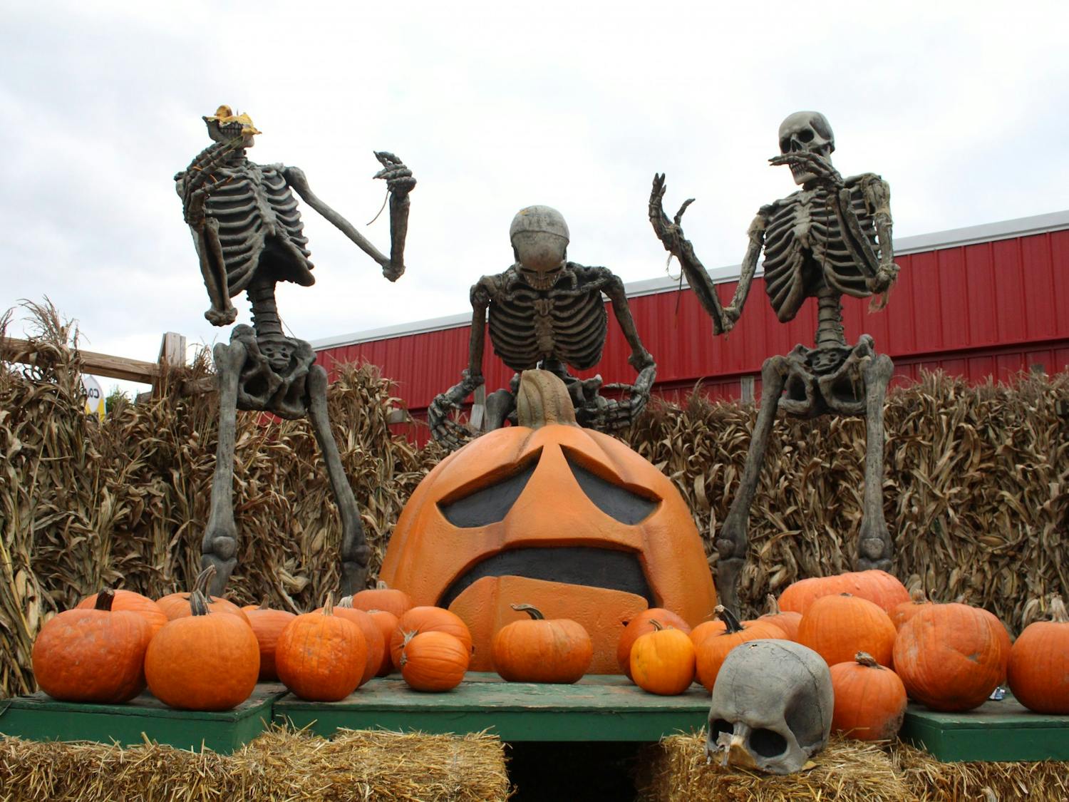The Great Pumpkin Farm hosts a fall festival every weekend this month with events like pie-eating contests and pumpkin olympics.&nbsp;