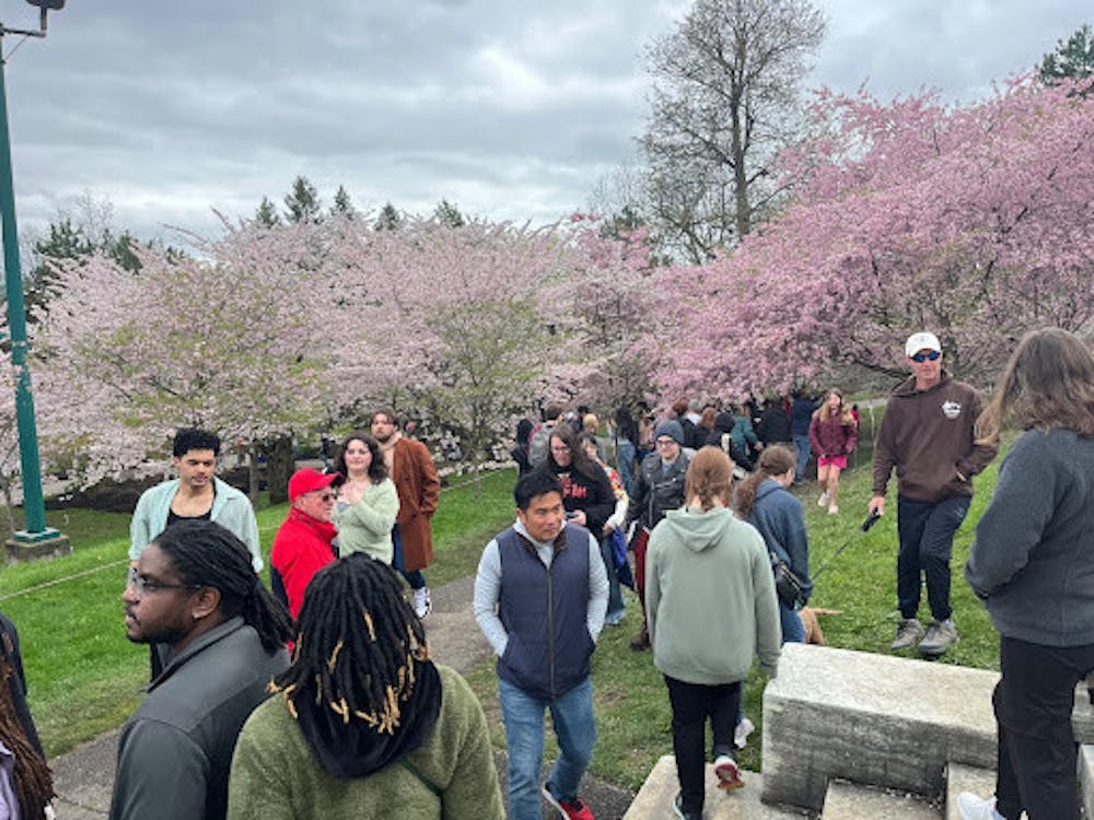 Thousands gathered around the periphery of the Buffalo History Museum for the annual Buffalo Cherry Blossom Festival.