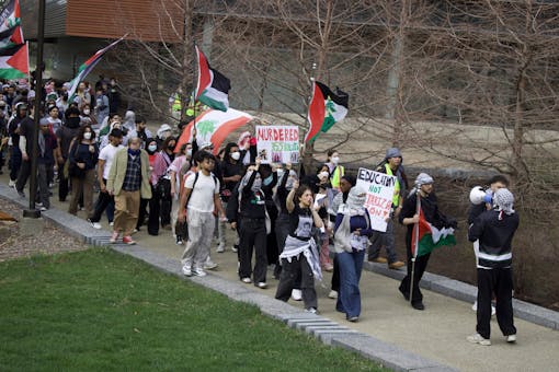 Pro-Palestine IDF protest.jpeg