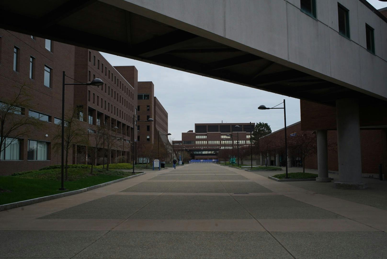 The Academic Policies and Grading Committee recommended to the Faculty Senate Executive Committee that members encourage professors and faculty to be flexible.