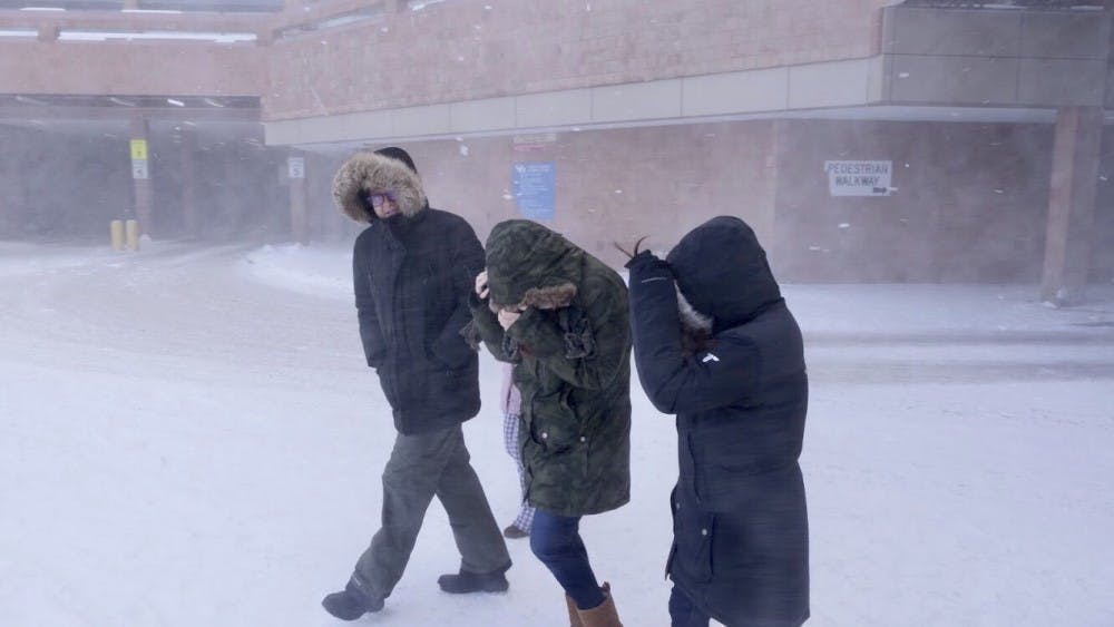 <p>Students walk on North Campus during the snowstorm.</p>